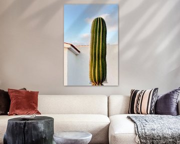 Grote cactus voor een huis op Fuerteventura van Peter de Kievith Fotografie