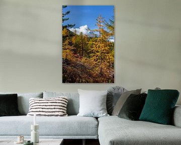 Forest and Matterhorn, Zermatt, Valais, Switzerland