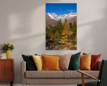 Bos en Triftdal, Zermatt, Wallis, Zwitserland van Torsten Krüger