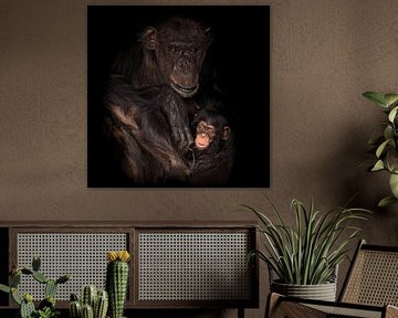 Moeder en kind chimpansee van gea strucks