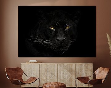 Black panther on black background