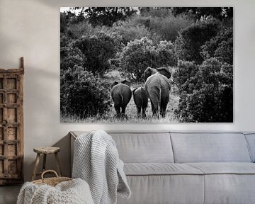 Elefanten in der Masai Mara, Kenia von Marvin de Kievit