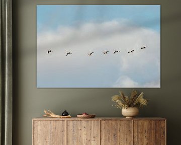 Vliegende vogels. Ganzen. Natuur. Pastelkleuren. Fine art fotografie. van Quinten van Ooijen