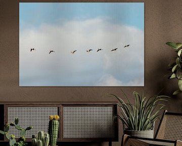 Fliegende Vögel. Gänse. Natur. Pastellfarben. Kunstfotografie. von Quinten van Ooijen