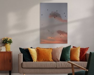 Vliegende vogels. Meeuwen. Roze zonsondergang. Fine art fotografie.