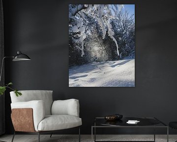 La forêt dans la neige