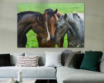 triumvirate of horses by Geertjan Plooijer