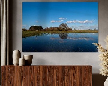 Ein Baum spiegelt sich im Wasser, während Wolken am blauen Himmel vorbeiziehen