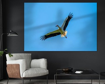 Ein Storch landet in Richtung seines Nestes mit einem blauen Himmel