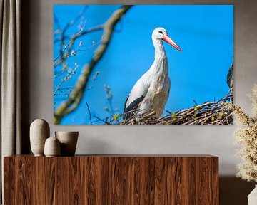 Ein Storch landet in Richtung seines Nestes mit einem blauen Himmel