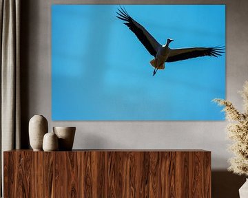 Ein Storch fliegt weit am Himmel vorbei mit blauem Hintergrund