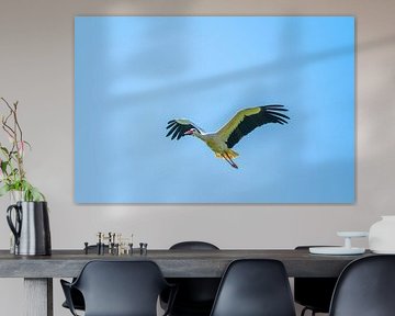 Ein Storch fliegt weit am Himmel vorbei mit blauem Hintergrund
