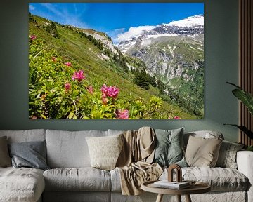 Op de Granatspitzgruppe in Oost-Tirol van Holger Spieker