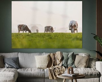 Koeien in een weiland tijdens een mistige zonsopgang in de IJsseldelta van Sjoerd van der Wal