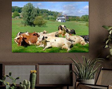 Koeien liggen in de zon in een weiland in Limburg van Sjoerd van der Wal