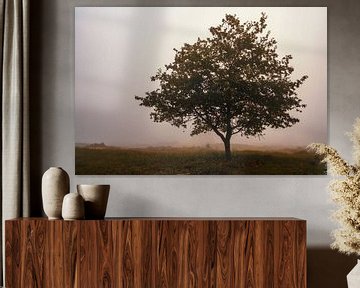 Solitary oak tree in the mist on the moors by Sjoerd van der Wal Photography