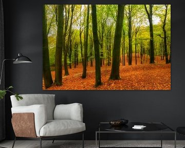Journée d'automne dans une forêt de hêtres au Veluwezoom sur Sjoerd van der Wal Photographie