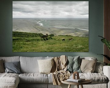 Islandpferde | Auf einem Roadtrip durch die schönsten Landschaften von Floor Bogaerts