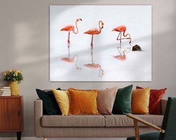 Flamingos von Peter Mensink