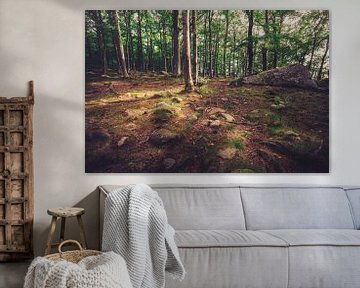 La forêt en Suède sur Skyze Photography by André Stein