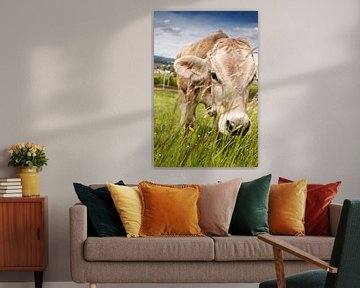 Grazende Zwitserse koe tussen grassprieten van Besa Art