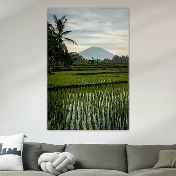 Neuer Reis in Ubud 4 von Ellis Peeters