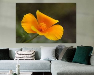 Gele bloem van Maarten de Jong