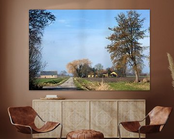 Nederlands polderlandschap met boerderijen in de Hoeksche Waard van Peter de Kievith Fotografie