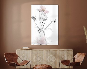 Cosmea bloem van Tot Kijk Fotografie: natuur aan de muur