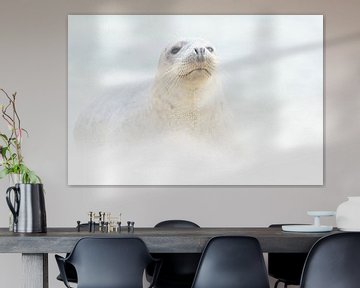 Dans une tempête de sable