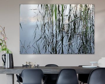 Abstract van Riet in moerasgebied. Botanische natuurfotografie, urban jungle art print