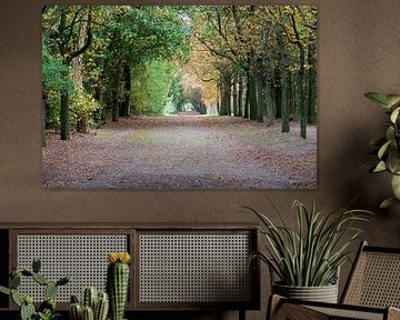 laan in de herfst