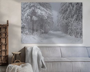 forêt d'hiver romantique dans l'Erzgebirge en Saxe sur Animaflora PicsStock