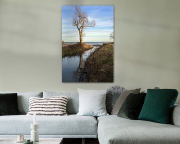 Mündung eines Süßwasserstroms in die Ostsee, Landschaft mit Wasser, kahlem Baum und blauem Himmel in von Maren Winter