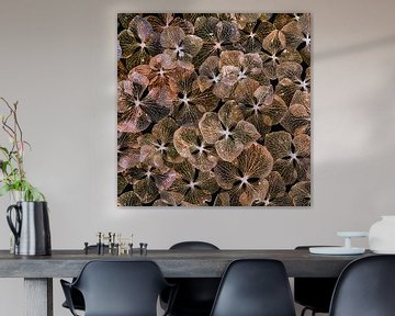 hortensia blaadjes collage invert