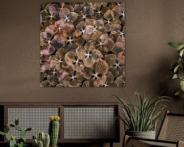 hortensia blaadjes collage invert van Klaartje Majoor