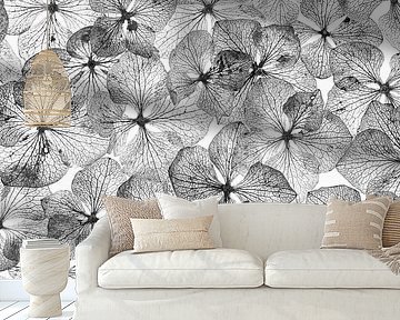 hydrangea leaves in black and white by Klaartje Majoor