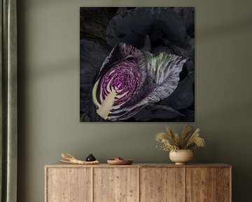 red cabbage by Fotogallery