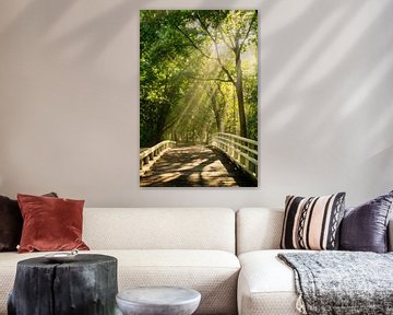 Brücke aus Licht von Koen Boelrijk Photography