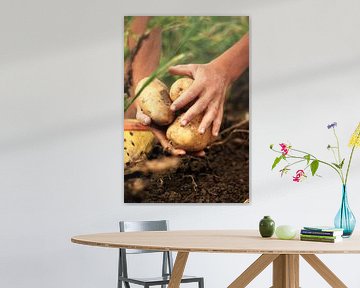 Digging potatoes by Besa Art