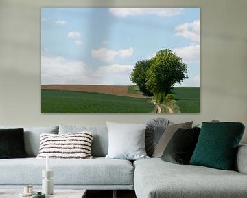 minimalistisch landschap van Frank Janssen