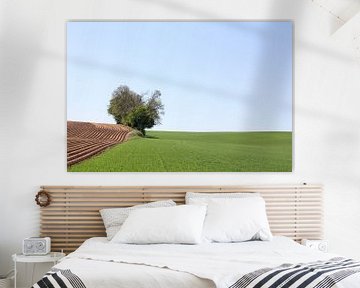 minimalistisch landschap van Frank Janssen