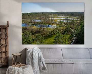 Peat bogs in Estonia by Manon Verijdt