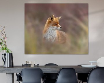 Renard des marais dans les dunes sur Patrick van Bakkum