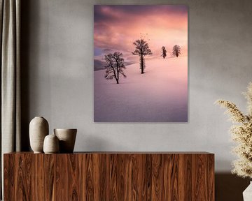 Bomen in de sneeuw van Markus Stauffer