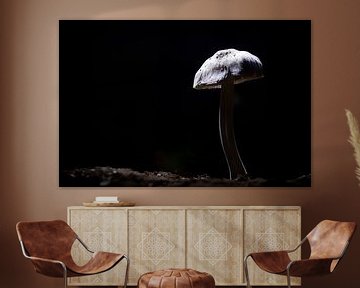 Mushroom in the night by Marcel Kerdijk