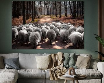 Kudde schapen op de hilversumse heide van Peter Mensink