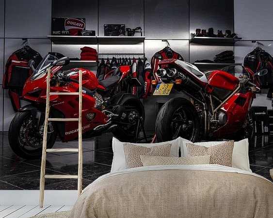 Aperçu de la chambre