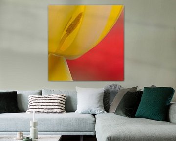 abstracte tulp van Maura Klumper