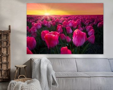 Tulpen veld tijdens zonsondergang van Dirk-Jan Steehouwer